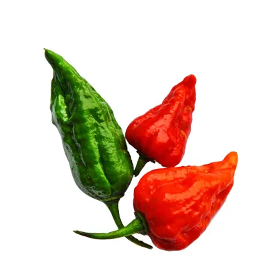 Fresh Bombay Chilli – 5 pcs